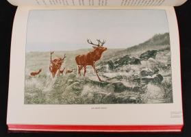 Bársony István: Erdőn-mezőn. Természeti és vadászati képek. Spányi Béla, Pataky László, Mesterházy K...