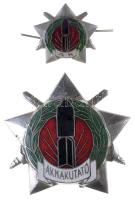 ~1970. "Aknakutató" zománcozott jelvény miniatűrrel és adományozói dísztokban T:1 Hungary ~1970. "Mine Clearance" badge with miniature in original box C:UNC