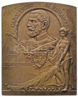 Románia 1906. "Bukaresti Általános Kiállítás" Br plakett. Szign.: R. Cizek / Resch (71x57mm/97.3g) T:2- Romania 1906. "General Exhibition in Bucharest" commemorative Br plaque. "EXPOZITIUNEA GENERALA ROMANA DIN 1906 / CAROL I. REGE AL ROMANIEI 1866-1906 COLABORATORILOR NOSTRI" Sign: R. Cizek / Resch (71x57mm/97.3g) C:VF Wurzbach 4369.