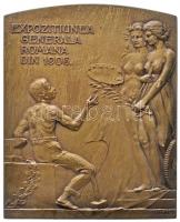 Románia 1906. "Bukaresti Általános Kiállítás" Br plakett. Szign.: R. Cizek / Resch (71x57m...