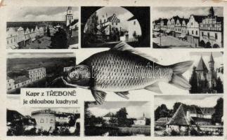 Trebon, 'Trebon carp is the pride of the kitchen' Hotel Konicka