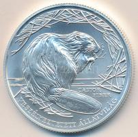 2000. 3000Ft Ag "Veszélyeztetett állatvilág-hód" tanúsítvánnyal eredeti dísztokban T:BU
Ad...