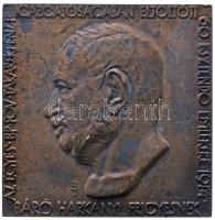 Beck Ötvös Fülöp (1873-1945) 1914. "Báró Harkányi Frigyes" Br emlékplakett (67x67mm) T:2-,3 Hungary 1914. "Frigyes Harkányi" commemorative Br plaque. Sign.: Fülöp Beck Ötvös (67x67mm) C:aVF HP-896.