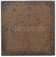 Beck Ötvös Fülöp (1873-1945) 1914. "Báró Harkányi Frigyes" Br emlékplakett (67x67mm) T:2-,...