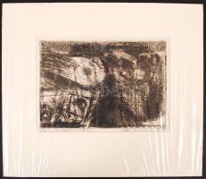 Swierkiewicz Róbert (1942-): Szárnyak. Rézkarc (próba), papír, jelzett, 15×22 cm