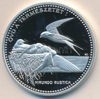 1998. 2000Ft Ag "WWF - Óvd a természetet" tanúsítvánnyal dísztokban T:PP 
Adamo EM154