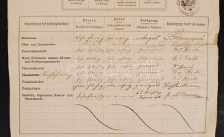 1866 Mosonmagyaróvár, A Felsőbb Mezőgazdasági Iskola által kiállított félévi bizonyítvány 15 Kr okmá...