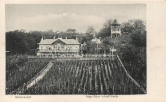 Kolozsvár Nagy Gábor Kőmáli kertje / mansion