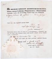1846 Besztercebánya város által kiállított útlevél Steffany Vilmos jogtudósnak