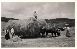 Vista, Magyarvista; szénagyűjtés / haymaking, folklore