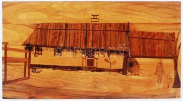 Jelzett fa intarziás kép, 32×60 cm