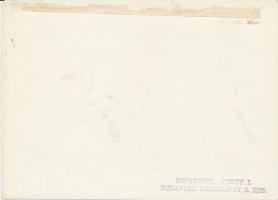 cca 1920-1930 Kerny István (1879-1963): Római kori malomkerekek a budapesti Aquincum területén, pecs...