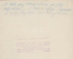 cca 1920-1930 Kerny István (1879-1963): A kék fény kikapcsolása a fényképezésből, feliratozott, pecs...