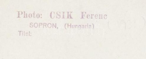 cca 1930-1940 Csík Ferenc (1894-1984): Káposztás, hagymás csendélet, pecséttel jelzett vintage fotóm...