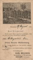 1890 (!!) Versec, Werschetz; Prima Banater Blüthenhonig von Karl Milleker, Bienenzüchter und Honighändler; original vorläufer Postkarte, 2 Kr Ga. / Karl Milleker's beekeeper's farm, original, very rare early postcard from Voivodina (fl)