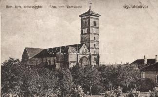 Gyulafehérvár, Római katolikus székesegyház / cathedral (fa)