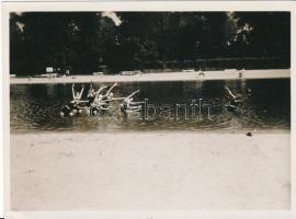 1929 Szigeti strandfürdő, Szentpál Olga mozgásművészeti tánccsoportjának tagjai labdadobás című kompozíciója, feliratozott, 8x12 cm