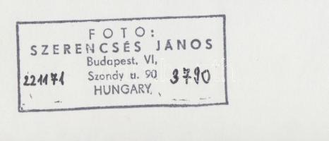 cca 1965-1970 Szerencsés János (1950-): Savanyúság, vintage fotóművészeti alkotás, pecséttel jelzett...