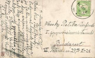 Alpinist girl dog, A. S. M. Nr. 1091. (EK)