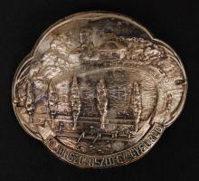 4 db régi botjelvény