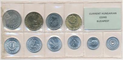 1989. 2f-20Ft 10db klf érmés forgalmi sor fóliatokban T:1