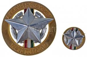 1973. "Kiváló Dolgozó" zománcozott kitüntetés és igazolvány a Fővárosi Bútor-Hangszer-Spor...