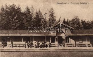 Bryukhovychi, Brzuchowice; railway station