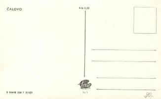 1956 Nagymegyer, Calovo (B/W modern postcard)
