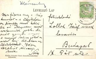 Kolozsvár a Fellegvárból; kiadja Schuster Emil díszműkereskedése / citadel view (Rb)