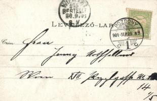 Pozsony, Pressburg; Duna-rakpart; Ottmar Zieher / quay (EK)