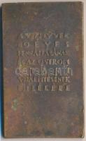 Madarassy Walter (1909-1994) "Budapest vízművei" szögletes Br plakett, jelzett (80x45mm) T...
