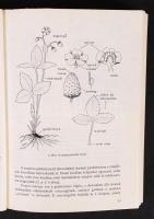 2 db bogyógyümölcsök termesztésével kapcsolatos könyv-Dr. Papp János: Bogyósgyümölcsűek: szamóca, má...