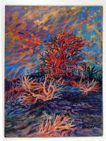 Hajósy Mónika (1953-): Vörös fa. Olaj, farost, jelzett, 38×28 cm