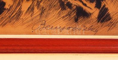 Benyovszky István (1898-1969): Lovak a gémes kútnál. Rézkarc, papír, sérült, jelzett, üvegezett kere...