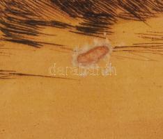 Benyovszky István (1898-1969): Lovak a gémes kútnál. Rézkarc, papír, sérült, jelzett, üvegezett kere...