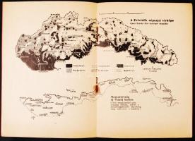 1938 vitéz Temesy Győző dr.: A hazatérő Felvidék, a visszacsatolt területek rövid ismertetője, 16p