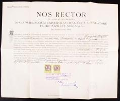 1920 Leckekönyv és diploma a Budapesti Pázmány Péter Tudomány-egyetem jog és államtudományi karáról....