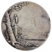 Franciaország 1895. Esküvői Ag emlékérem, peremében ARGENT jelzéssel. Szign.: Louis Oscar Roty (30.4...