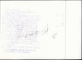 Fehérváry Ferenc: Csikós, Országos pásztortalálkozó a kilenclyukú hídnál, hátoldalán feliratozva, 13...