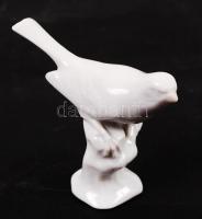 Herendi porcelán madár, pici kopással, m:7 cm, h:8,5 cm