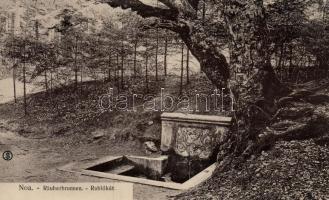 Brassó, Noa; Rablókút / well