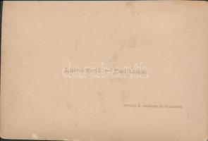 cca 1870-1880 Divald Károly (1830-1897): Lublói fürdő, keményhátú fotó, hátoldalán feliratozva, 16x1...