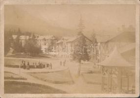 cca 1870-1880 Divald Károly: Kárpátok (Alsó-Tátrafüred), keményhátú fotó, 16x11 cm / cca 1870-1880 Károly Divald: Carpathians, The High Tatras, Smokovec, hard-backd photo, 16x11 cm