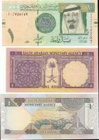 Szaúd-Arábia 1979-2008. 1R (3xklf) T:I,III Saudi Arabia 1979-2008. 1 Rial (3xdiff) C:UNC,F