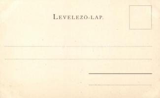 Keszthely, Festetics-palota; Sujánszky József kiadása