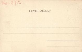 Balatonfüred, Hercegprímás nyaralója; Schmidt Edgar