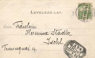 Balassagyarmat, Megyeháza; Wertheimer Zsigmond kiadása