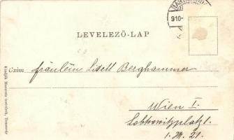 Temesvár Józsefváros, Béga-part / riverside