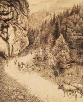 Dudás Jenő (1900-1991): Hegyek között. Rézkarc, papír, jelzett, üvegezett keretben, 40×30 cm