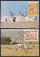 WWF: Antilopok sor 4 db CM-en WWF: Antelopes set on 4 CM